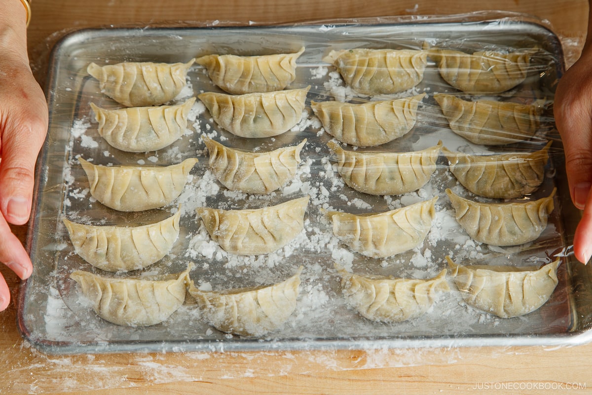 A baking sheet containing gyoza, Japanese pan-fried dumplings, covered with plastic wrap.