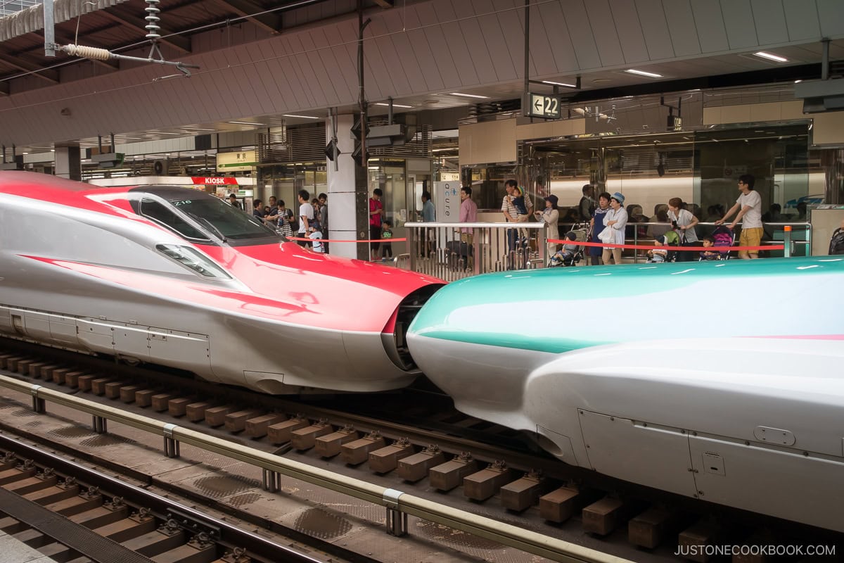 two bullet trains connected together