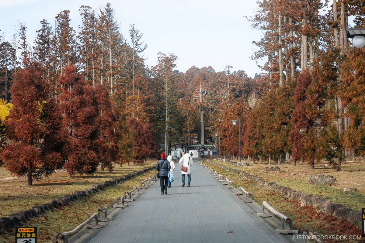 Pathwat lined with trees leading to a temple