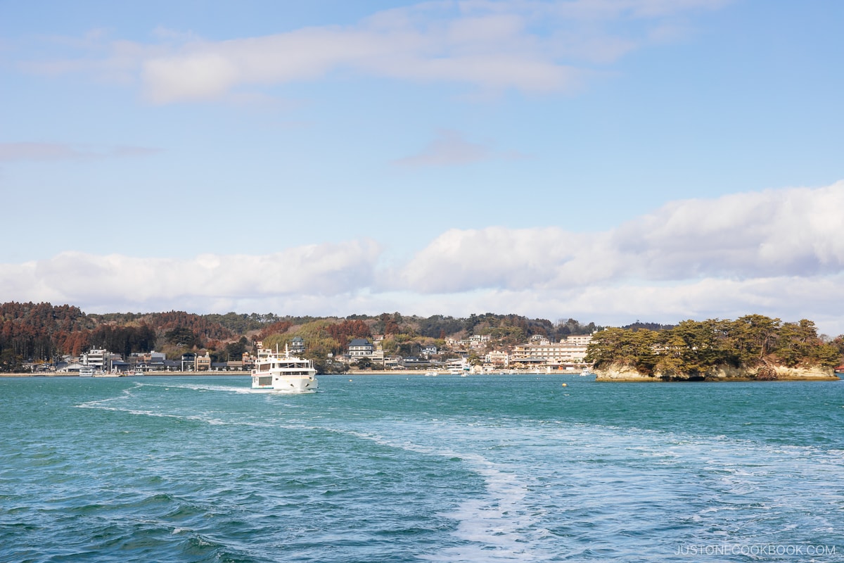 Cruise ship and Matsushima Bay