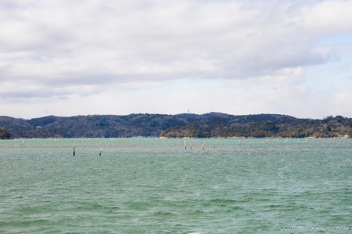 Fishing nets in Matsushima Bay