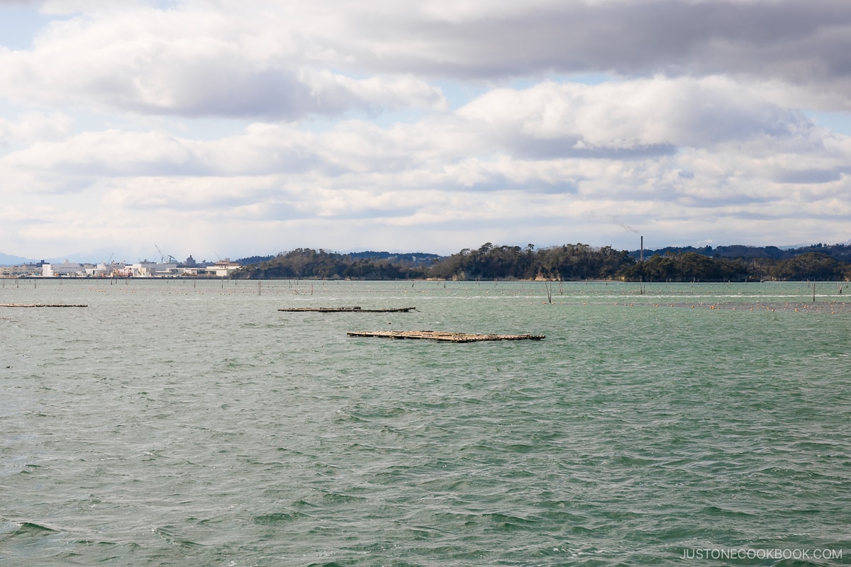 Oyster cages