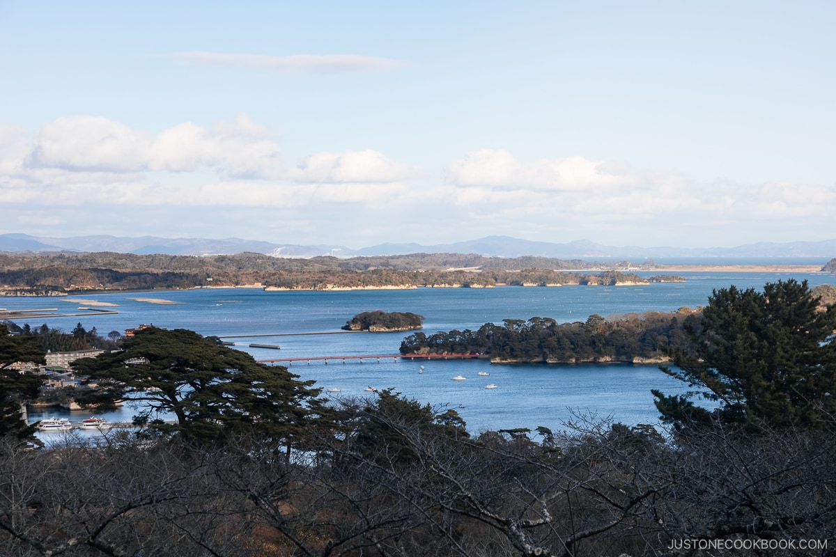 View overlooking Matsushima Bay