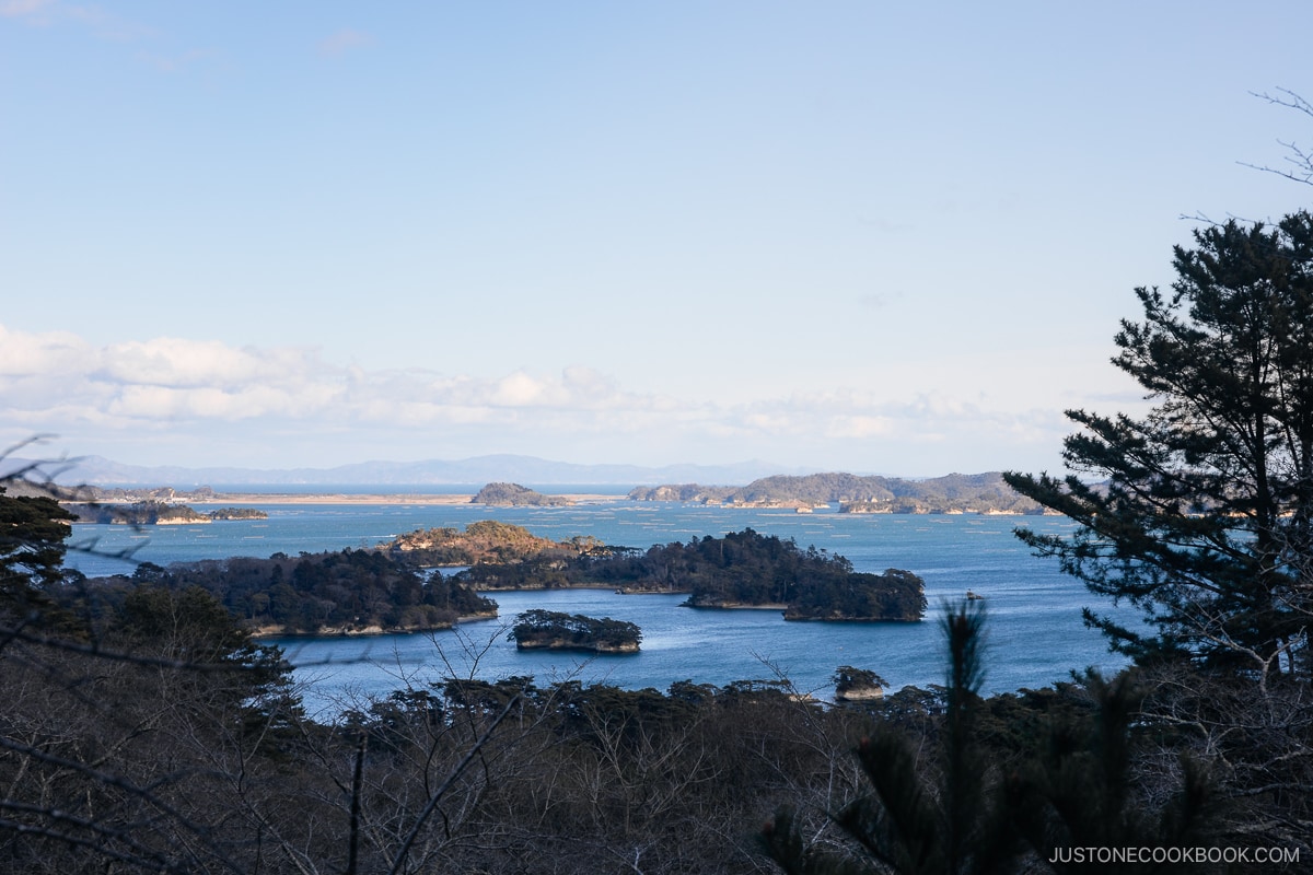 View overlooking Matsushima Bay
