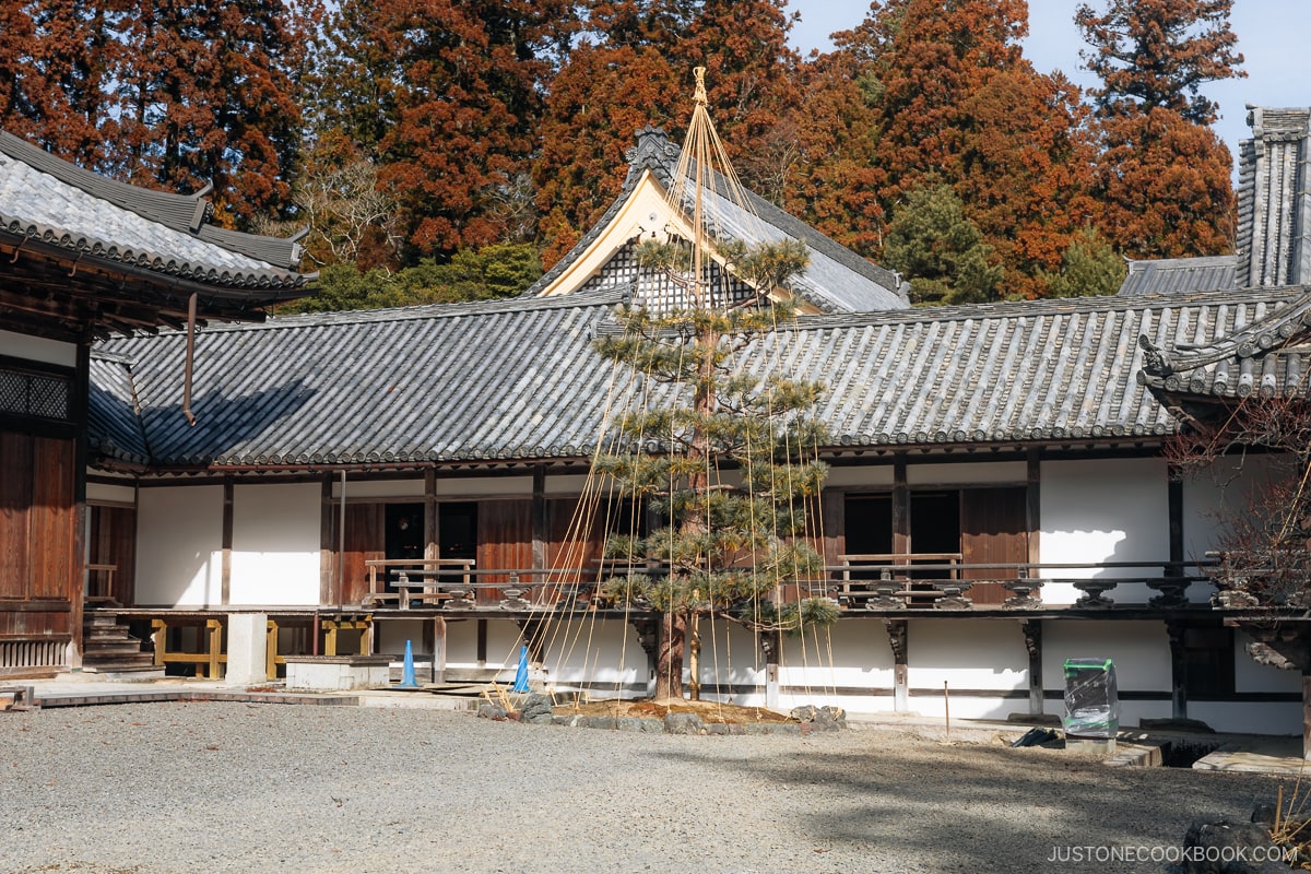 Temple courtyard and hall exterior