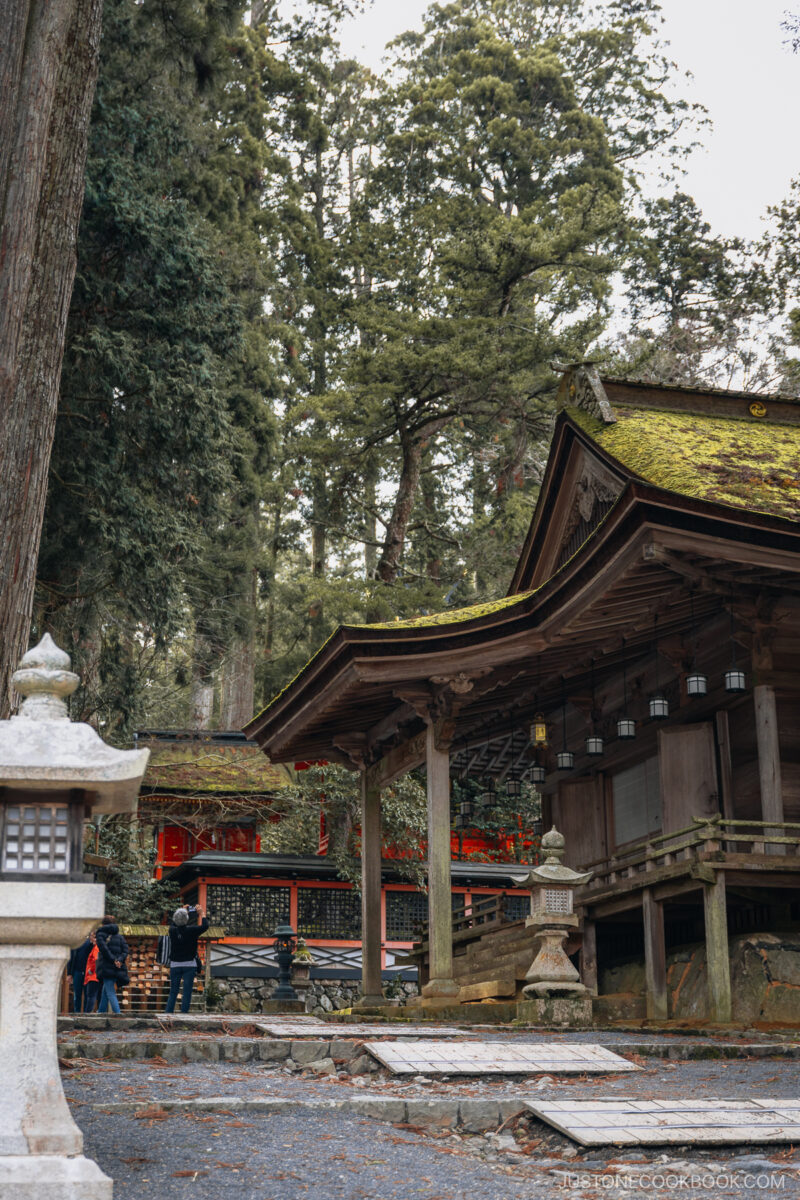 Wooden temple covered in moss with stone pathway