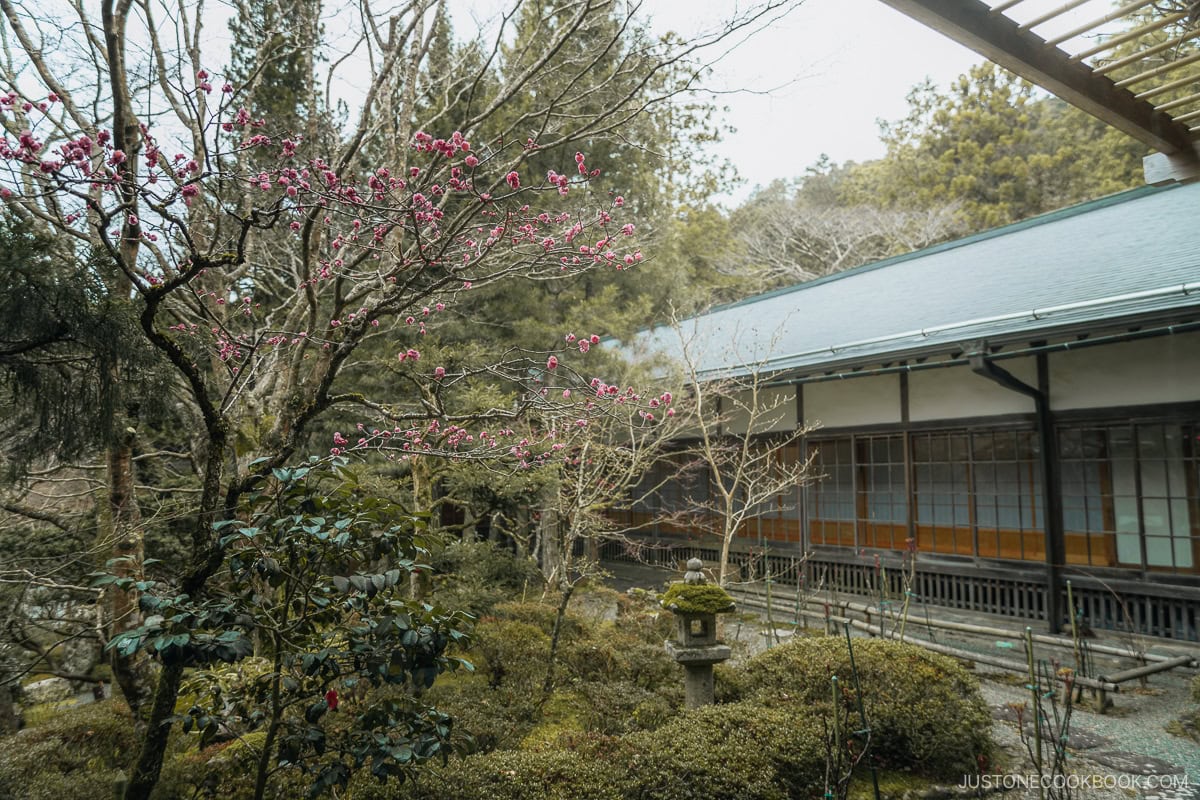 Temple garden