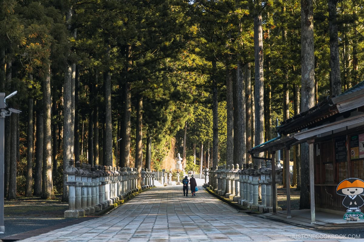 Cemetery entrance surrounded by trees