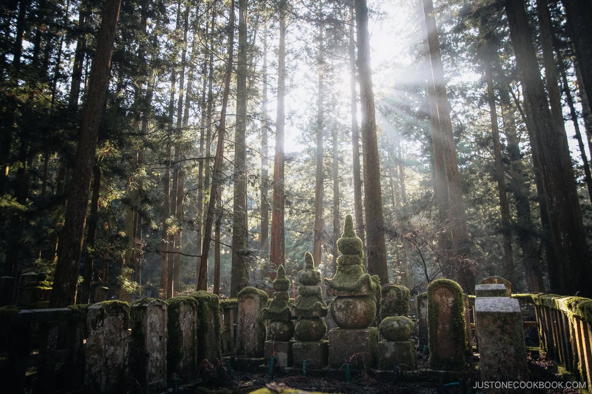 Discover Kumano Hongu Taisha: Japan?s Shrine of Spiritual Awakening