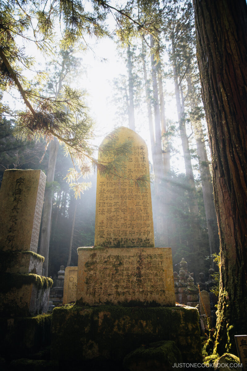 Backlit gravestone in a forest