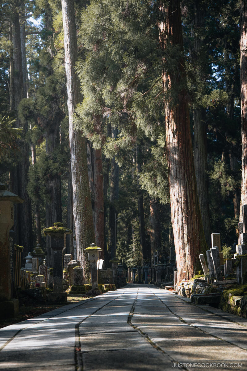 Stone pathway in a cemetery surrounded by trees