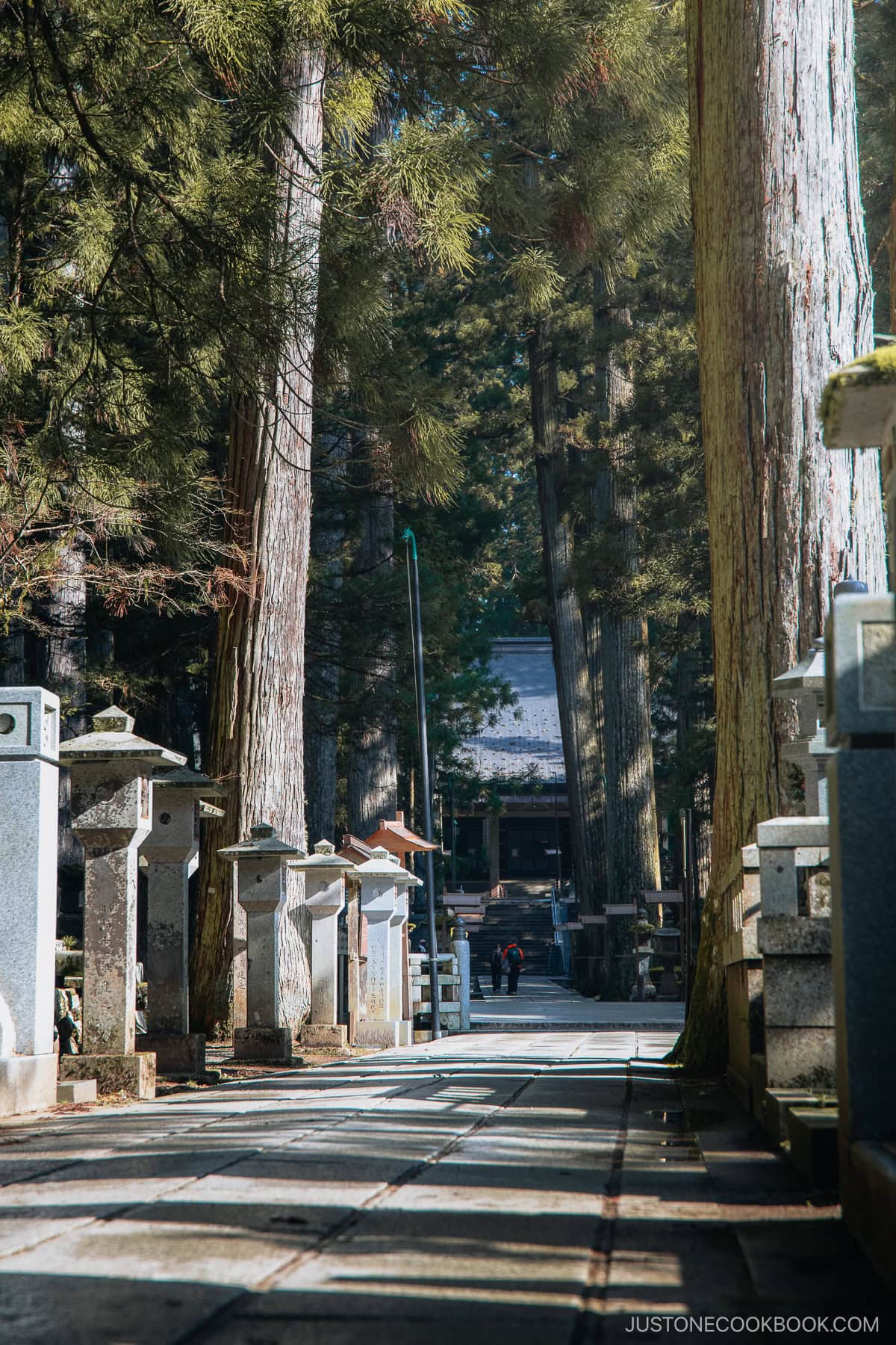 Stone pathway in a cemetery surrounded by trees