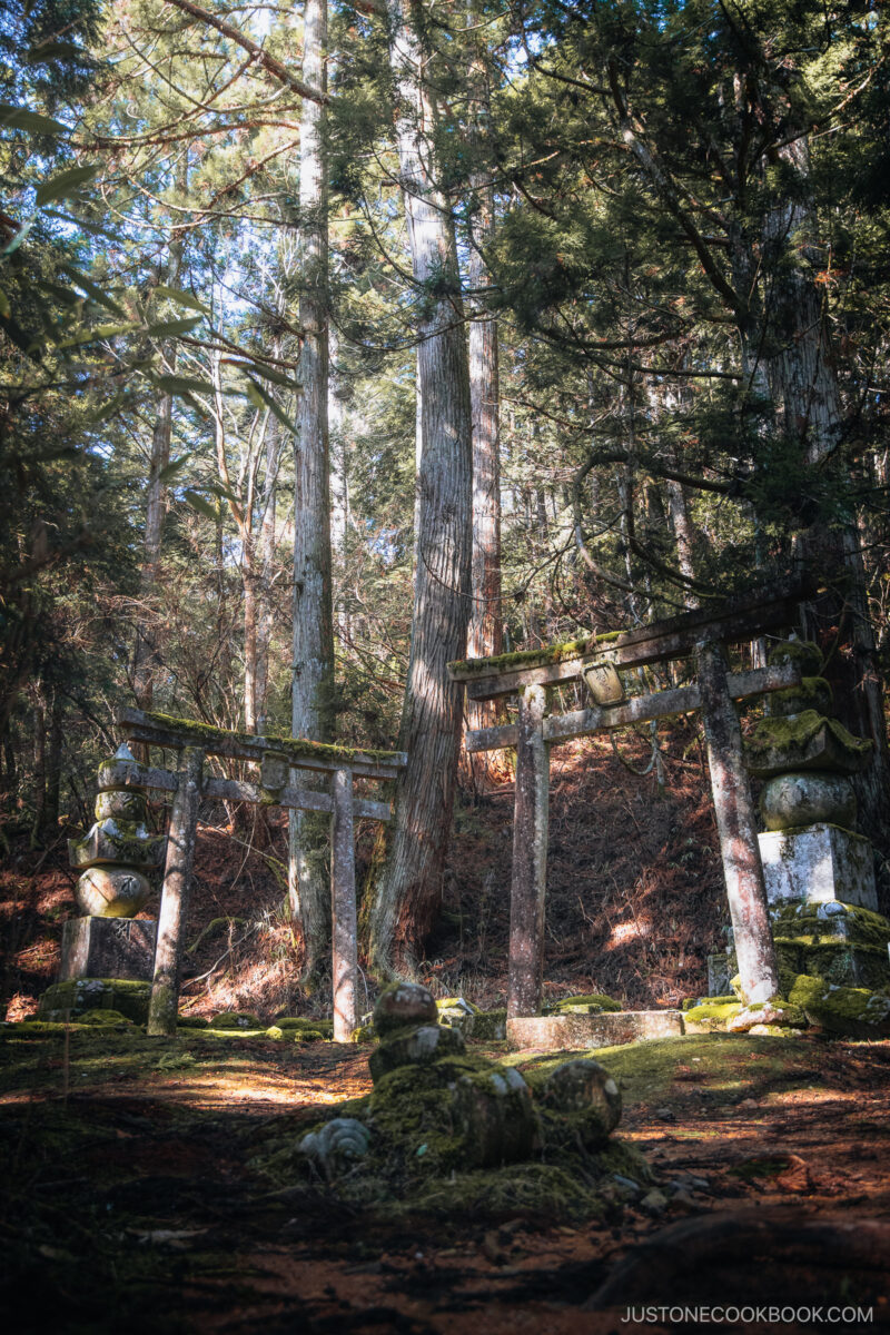 Two stone torii gates