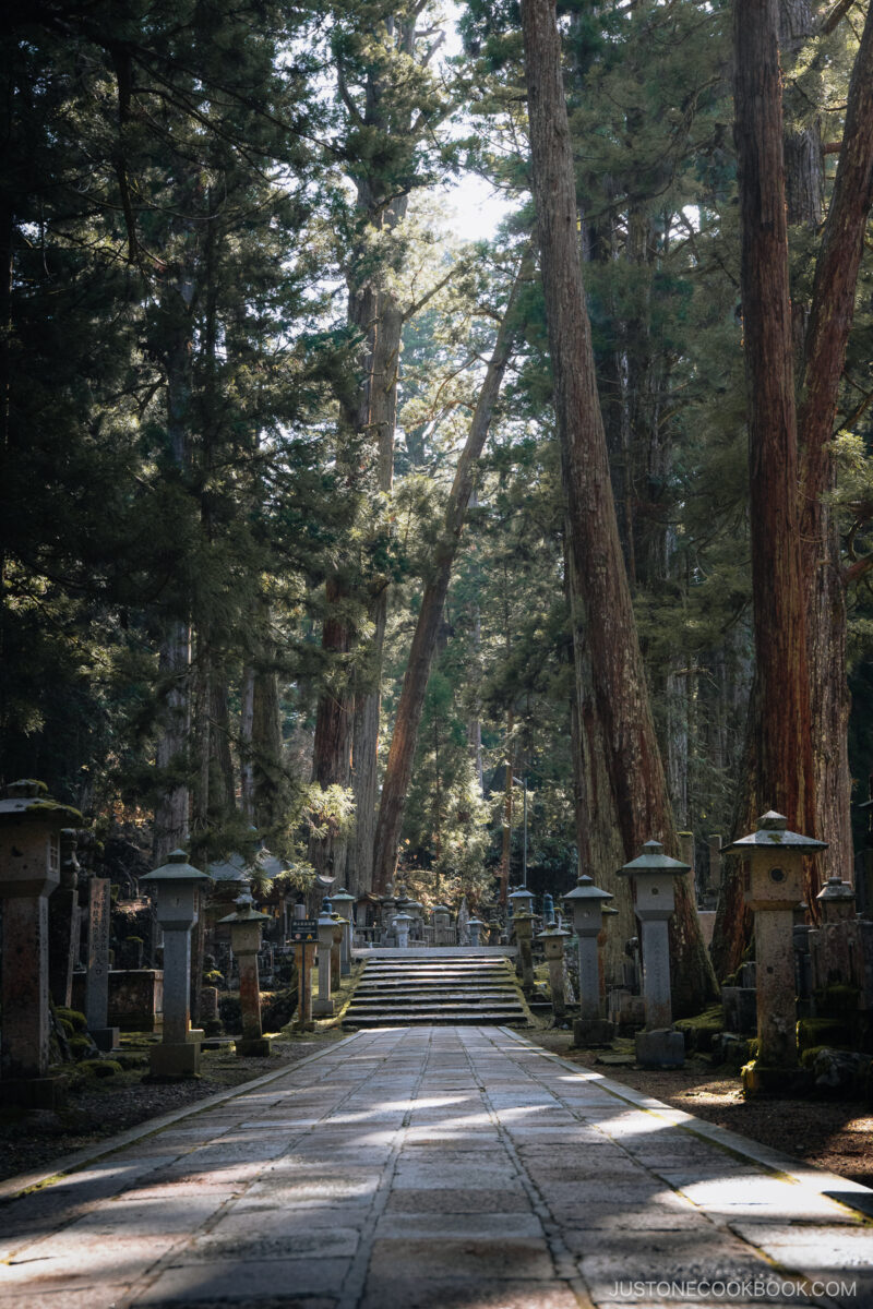 Stone pathway in a cemetery surrounded by trees