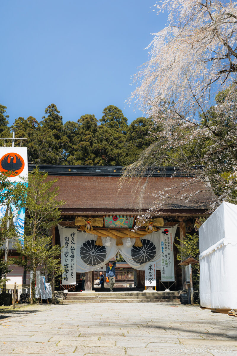 Shrine entrance gate with overhanging cherry blossom tree