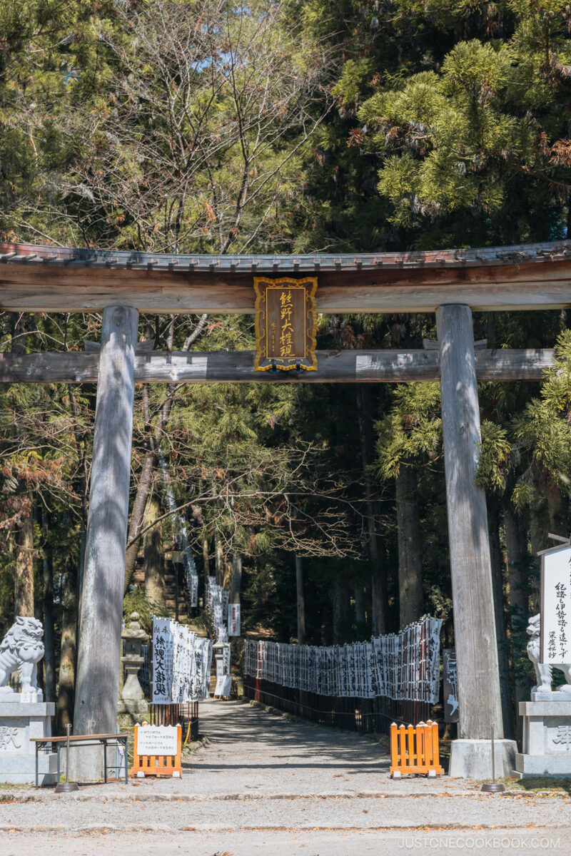 Wooden torii gate