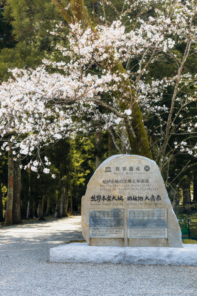 Stone entrance sign with cherry blossom tree