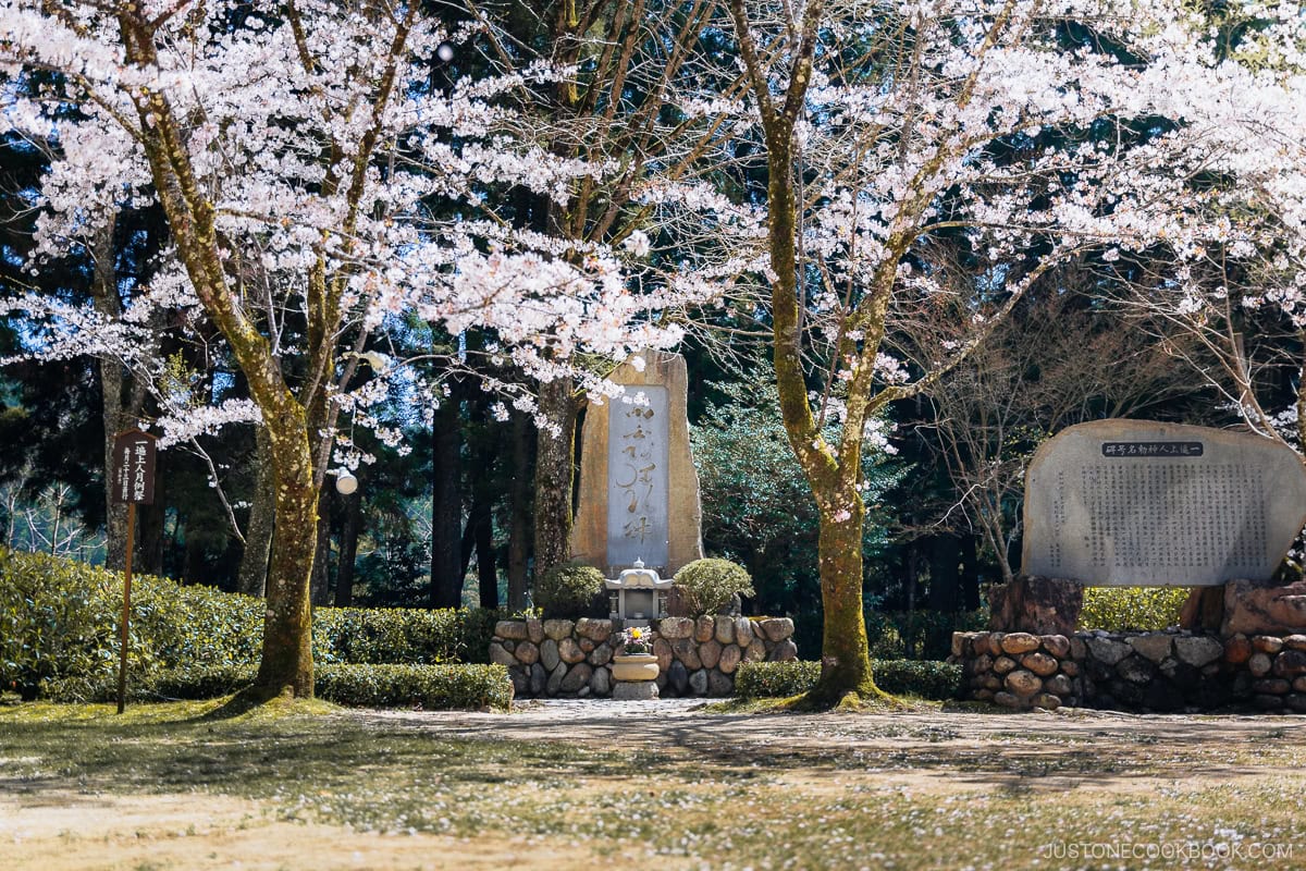 Stone shrine under cherry blossom trees