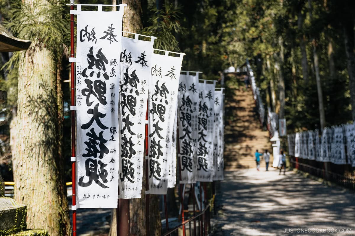 Flags with Japanese kanji leading to shrine