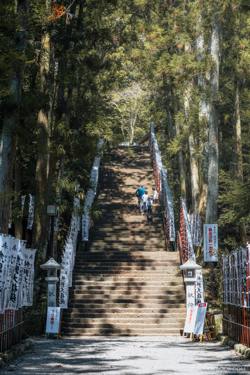 Stairs leading to a shrine lined with trees