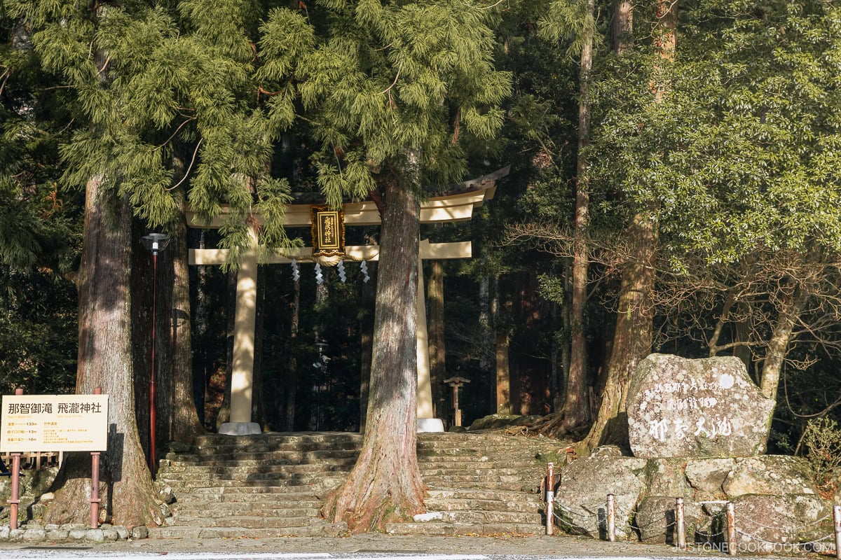 Beige torii gate surrounded by trees