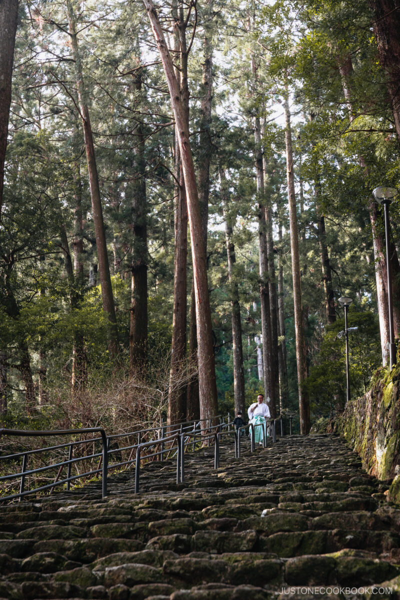 Person walking down stone stairs