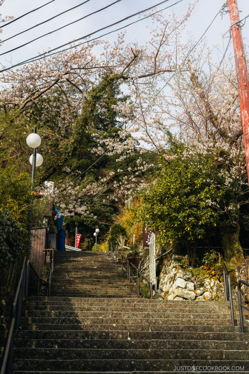 Stairs leading up a hill