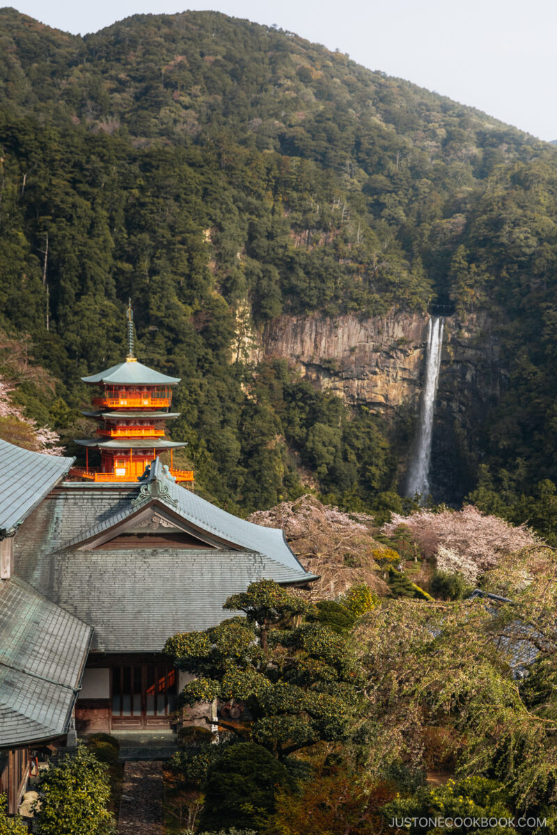 View over pagoda and Nachi waterfall