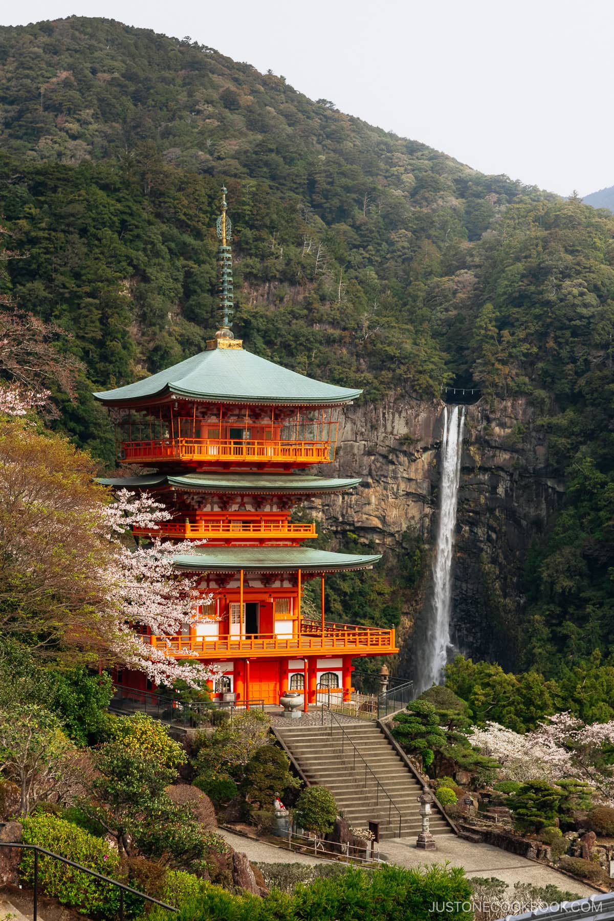 View over pagoda and Nachi waterfall and cherry blossoms