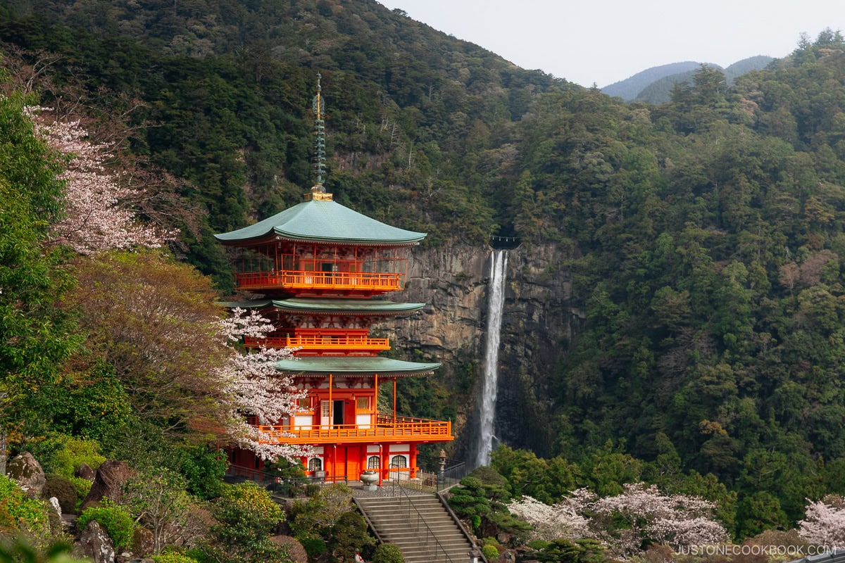 Nachi Falls: A Guide To Japan’s Most Beautiful Waterfall