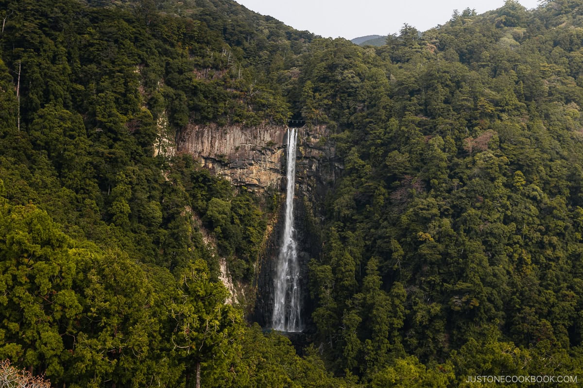 Nachi waterfall