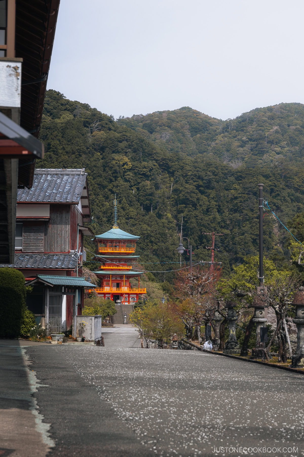 Pathway with fallen cherry blossoms and a three storied pagoda in the background