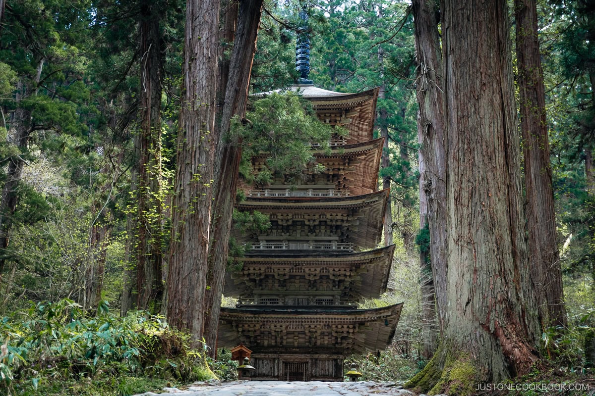 Five story wooden pagoda surrounded by cedar trees