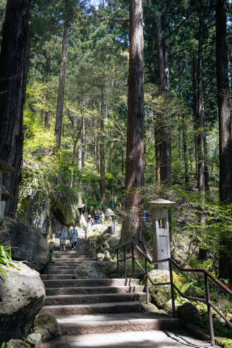 Stone stairs lined with cedar trees