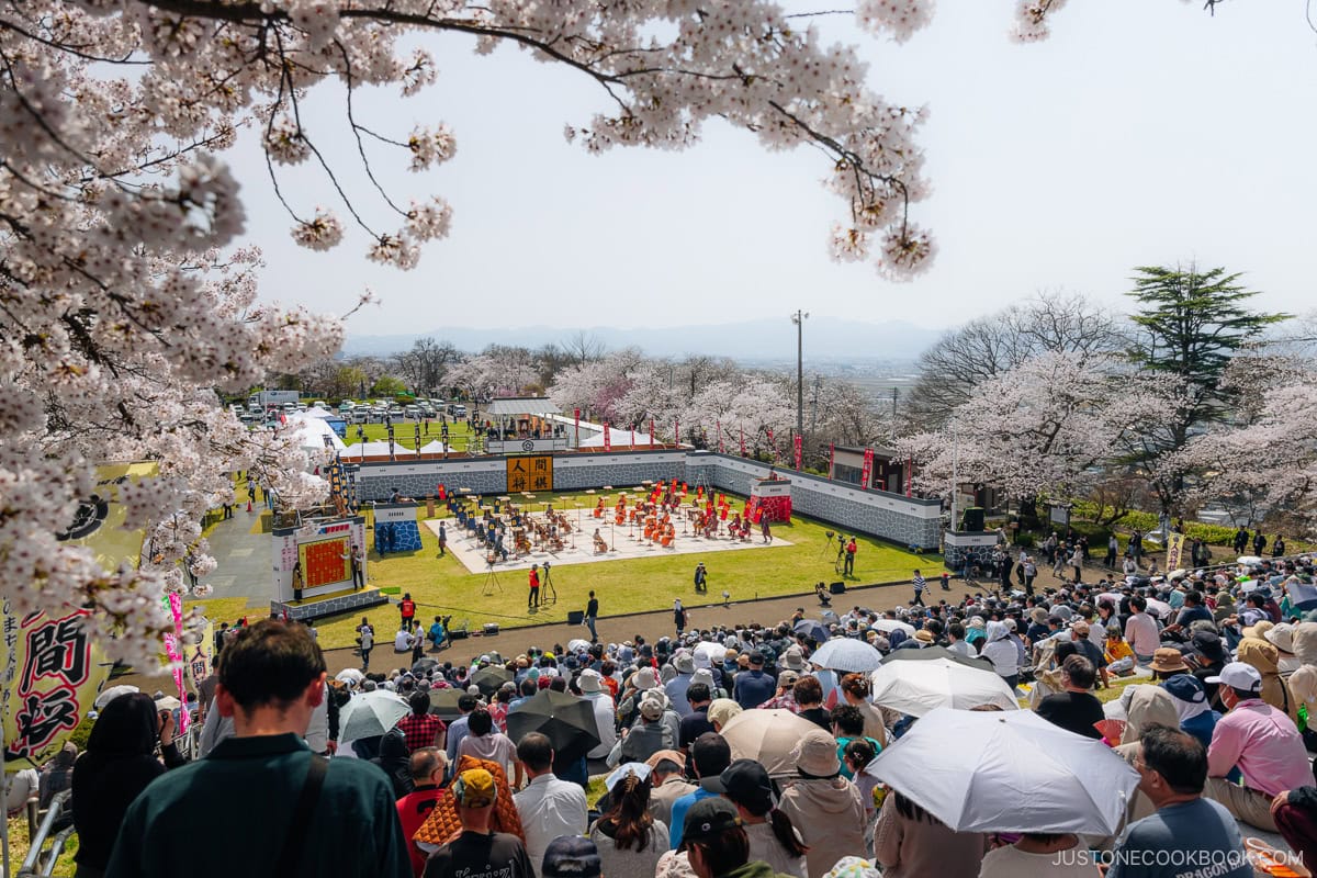 Ningen Shogi festival under cherry blossoms