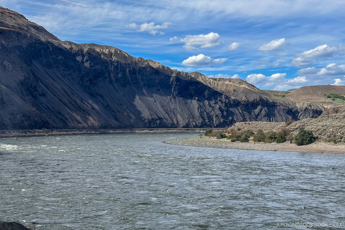 view of Thompson river in front of a mountain