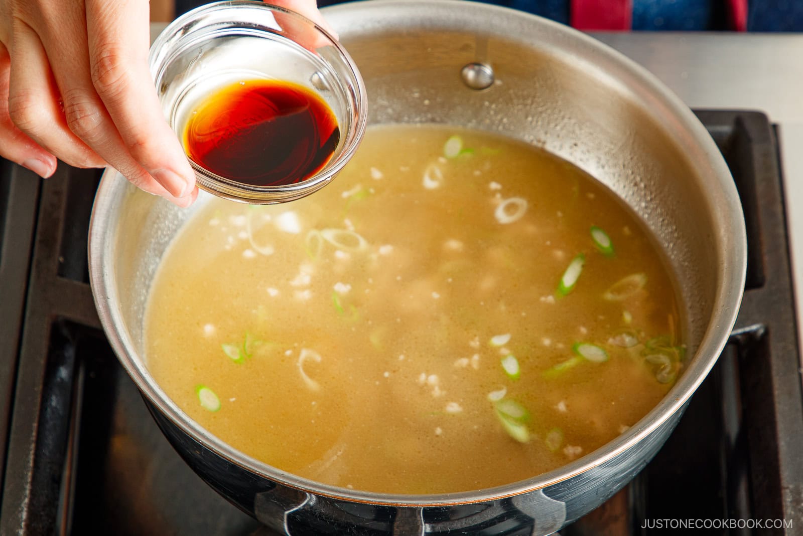 Pork Tofu Soup (Video) • Just One Cookbook