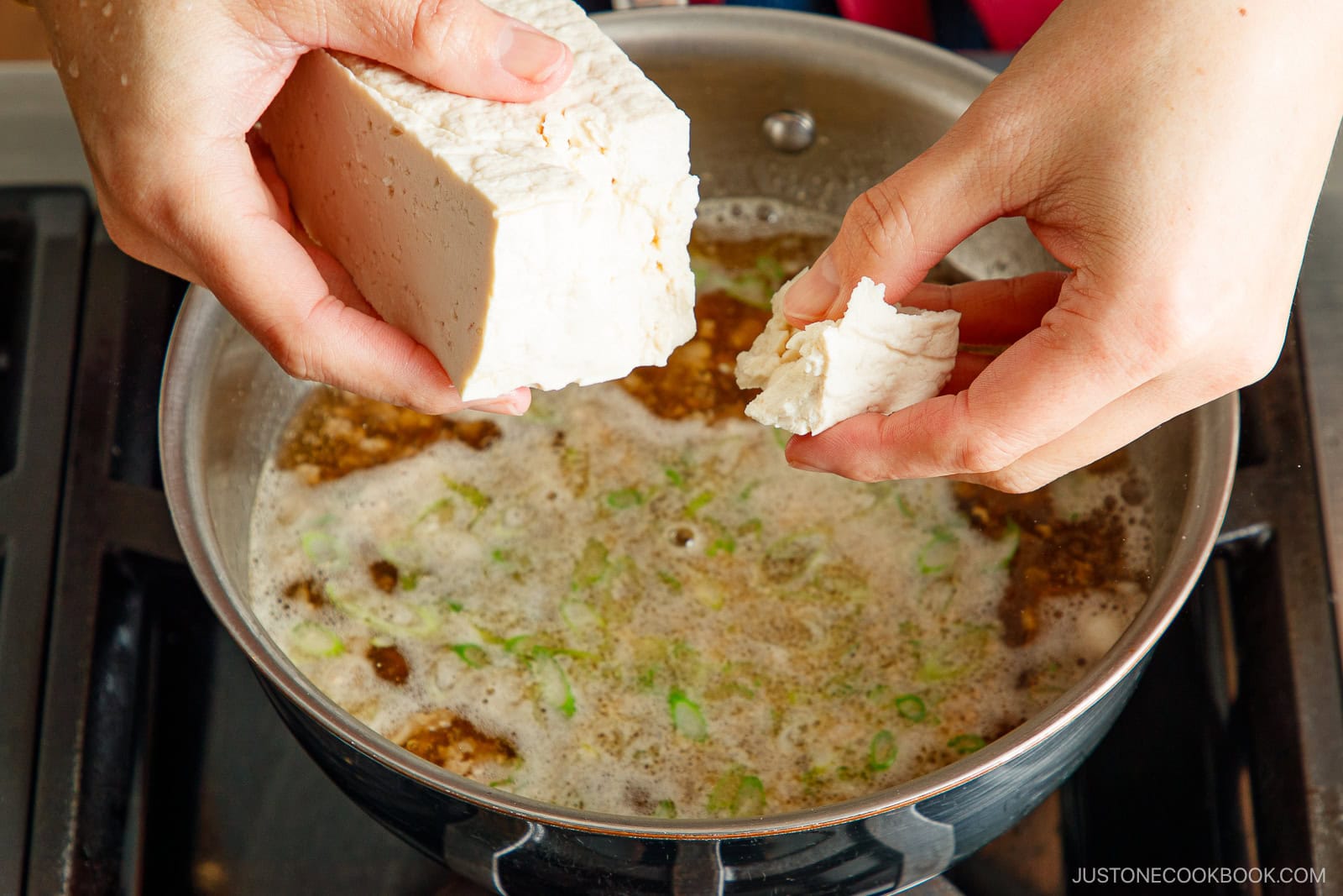 Pork Tofu Soup (Video) • Just One Cookbook
