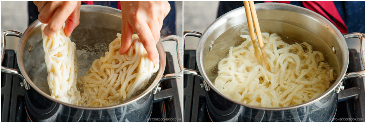 Cold Udon Noodles 2