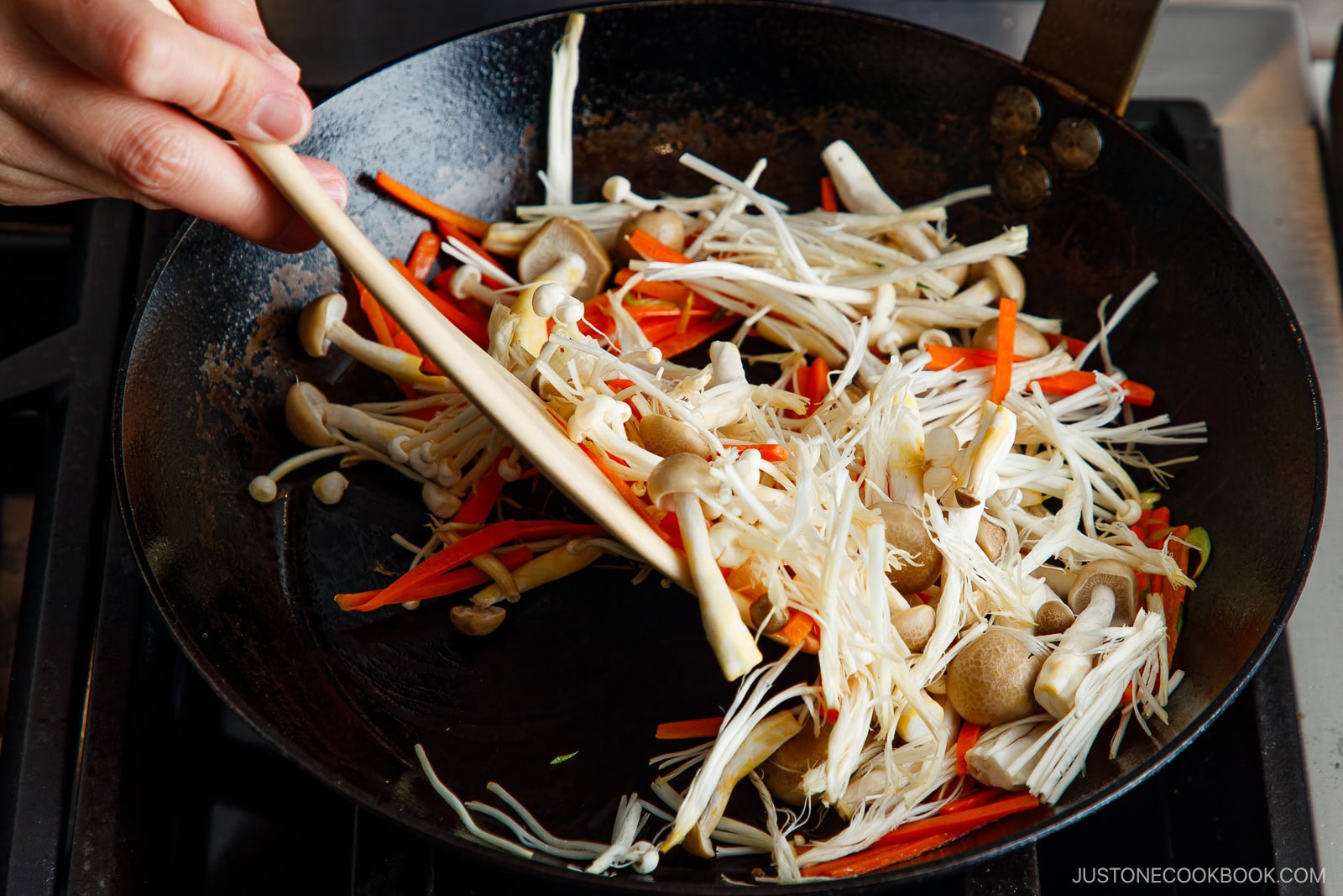 Japanese Tofu Steak with Mushroom Ankake Sauce 豆腐ステーキ • Just One Cookbook