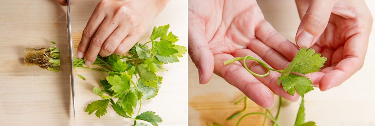 A person slices the roots off a bunch of cilantro on a cutting board; in the second image, they hold a fresh cilantro leaf and stem between their fingers, preparing garnishes for Chawanmushi (Japanese Savory Steamed Egg Custard).